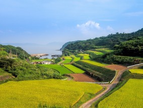 山东龙口南山房产，品质生活的理想选择山东龙口南山房产中介快去办房本电话号码